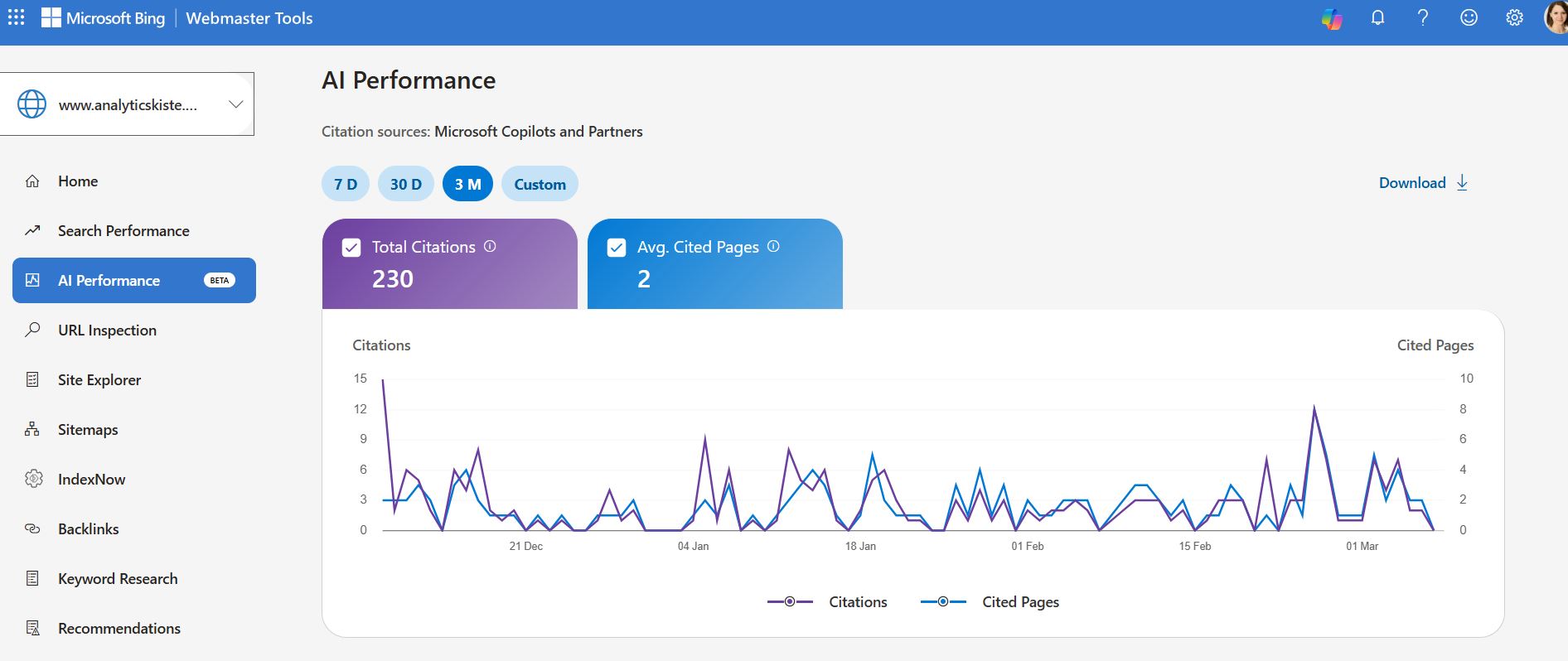 Bing Webmastertools KI Report